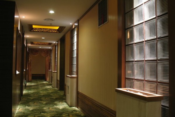 江南水乡夜色中，养生茶香悠然漫